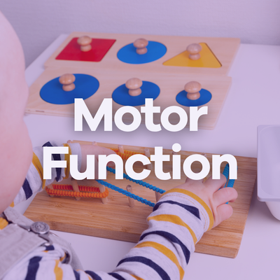 Image Motor Function